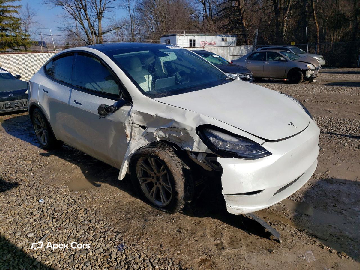 Tesla Model Y 2020