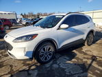 Ford Escape 2020