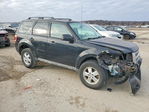 Ford Escape 2010