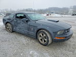 Ford Mustang 2007