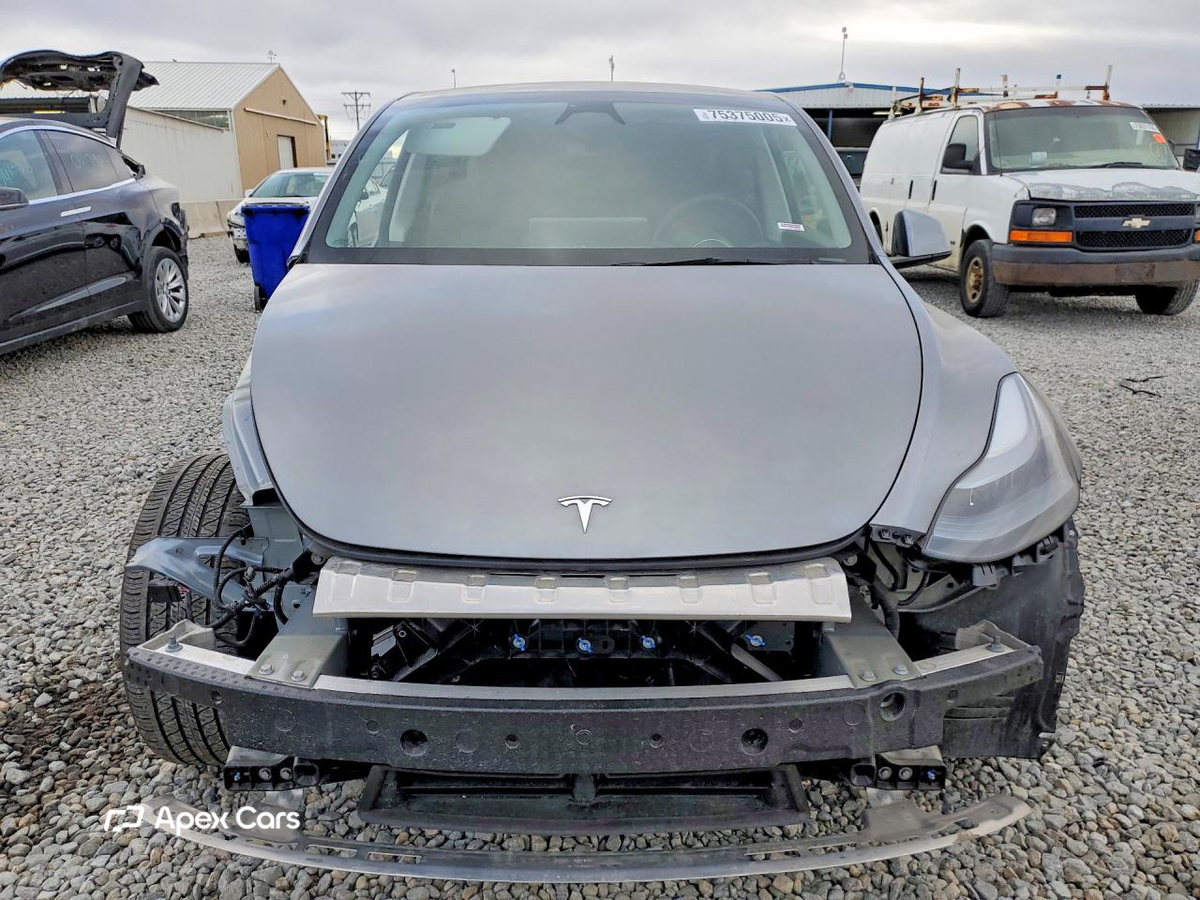 Tesla Model Y 2025