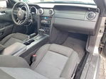Ford Mustang 2008