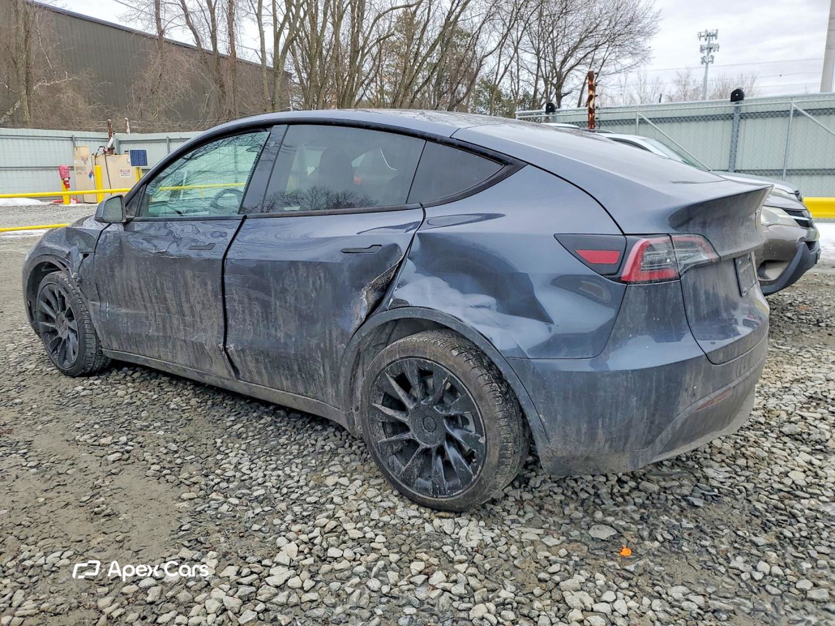 Tesla Model Y 2020