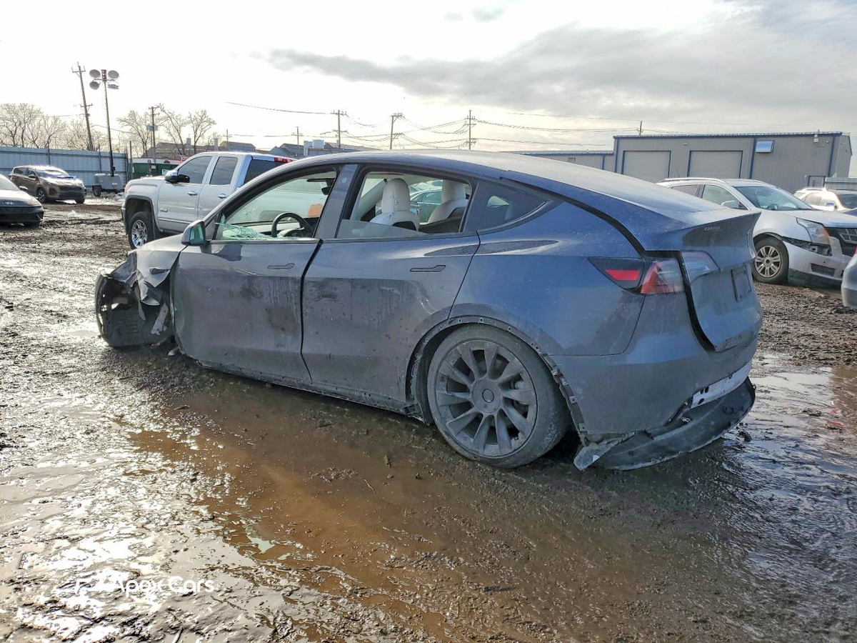 Tesla Model Y 2021