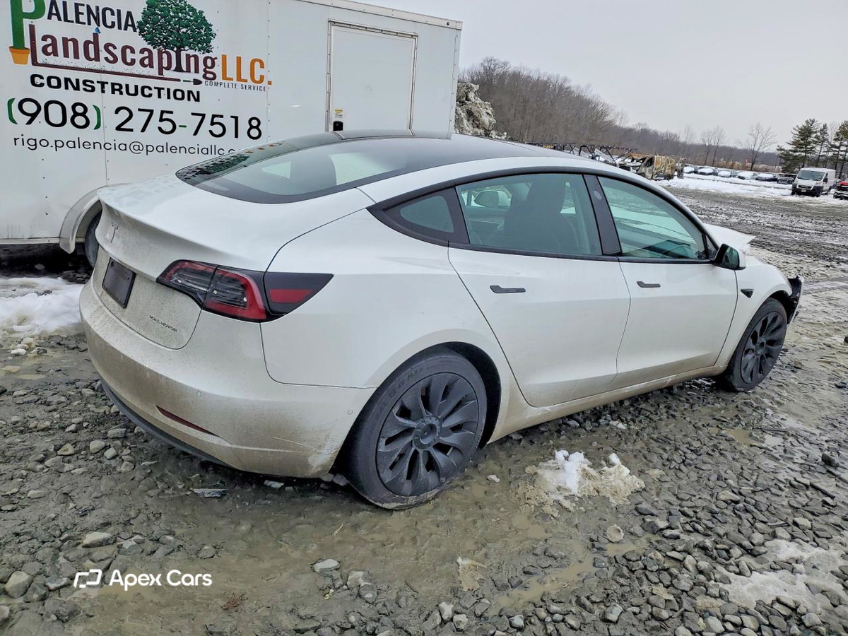 Tesla Model 3 2022