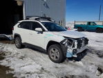 Toyota RAV 4 2023