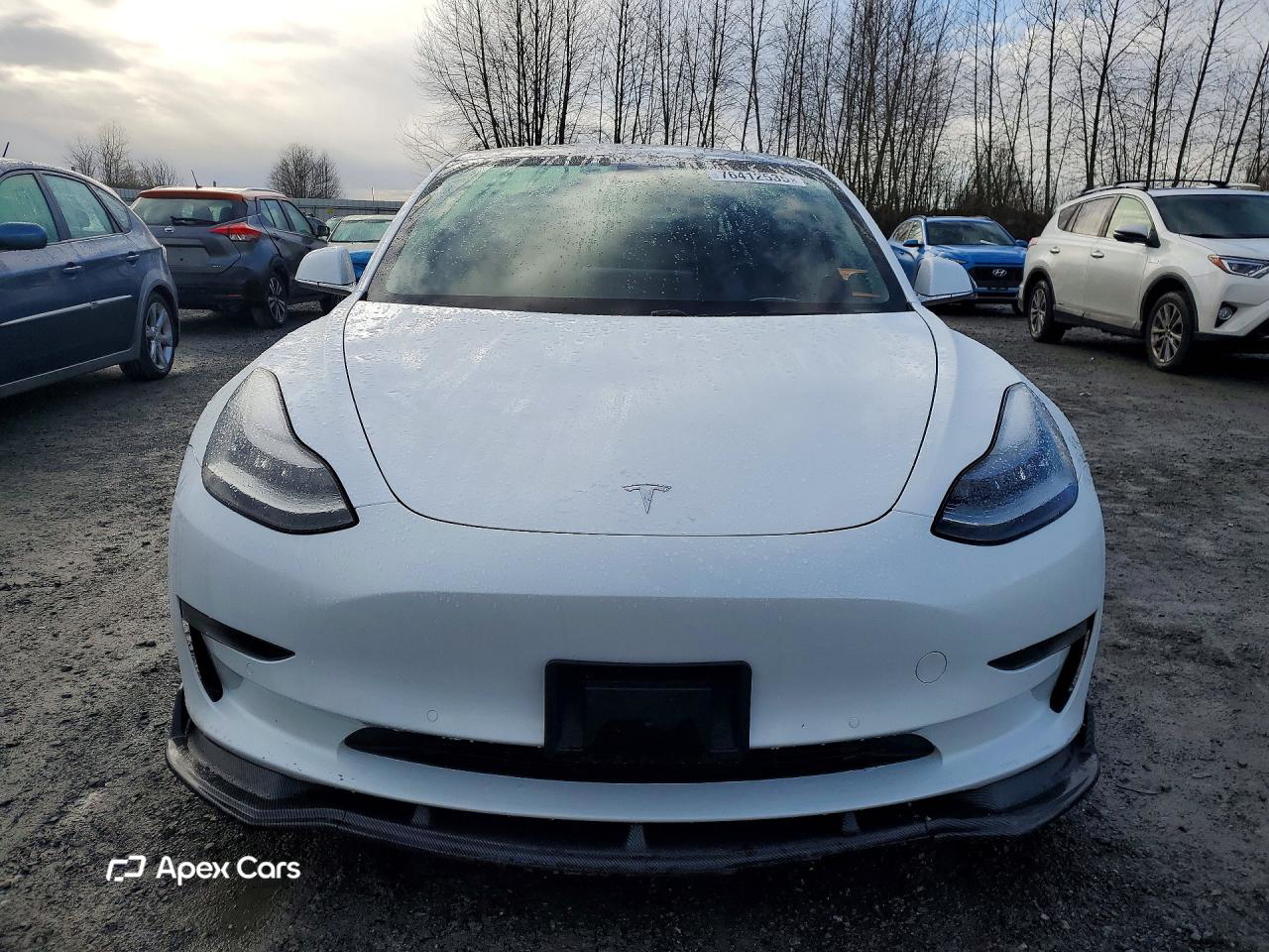 Tesla Model 3 2019