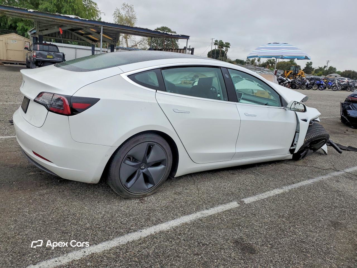 Tesla Model 3 2019