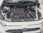 Toyota RAV 4 2025