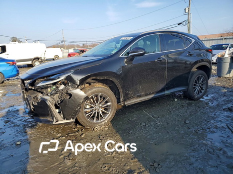 Lexus NX 2024 - Zdjęcie 1 z 13