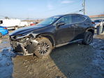 Lexus NX 2024