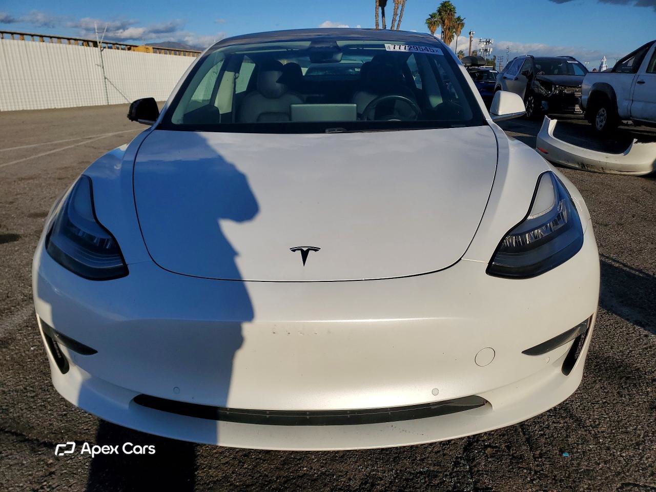 Tesla Model 3 2019