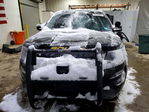 Ford Explorer 2019