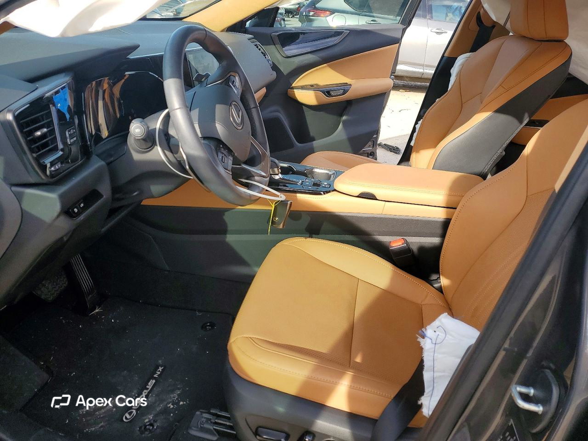 Lexus NX 2024