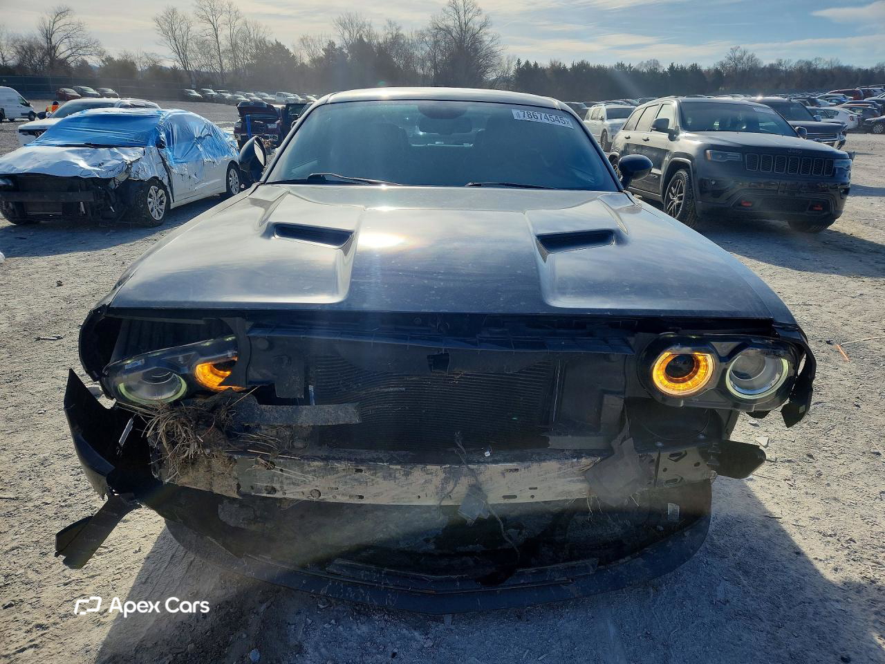 Dodge Challenger 2018