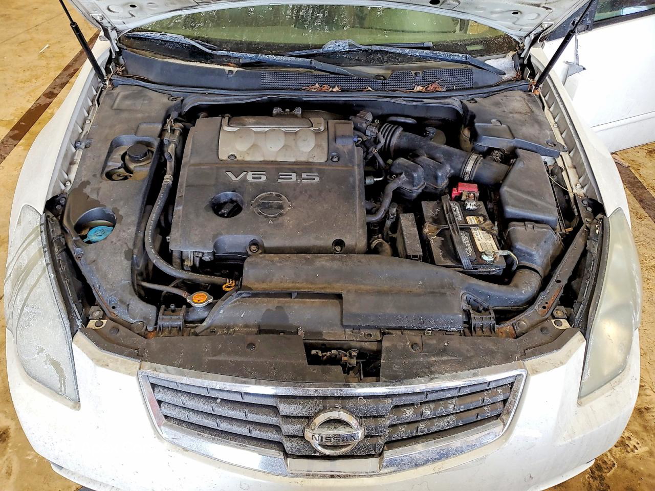 Nissan Maxima 2008
