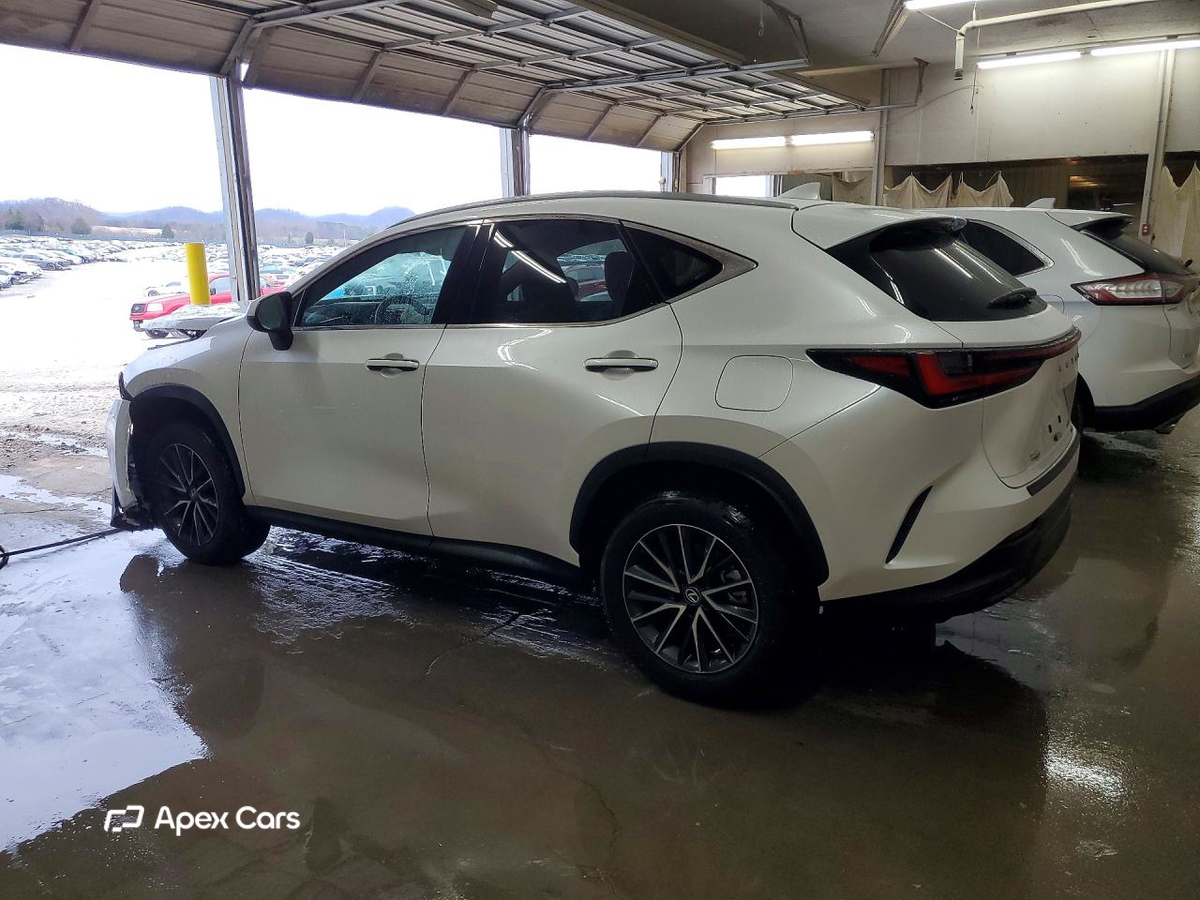 Lexus NX 2025