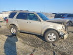 Ford Escape 2011