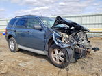 Ford Escape 2011