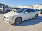 Nissan Maxima 2011