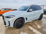 BMW X5 2025