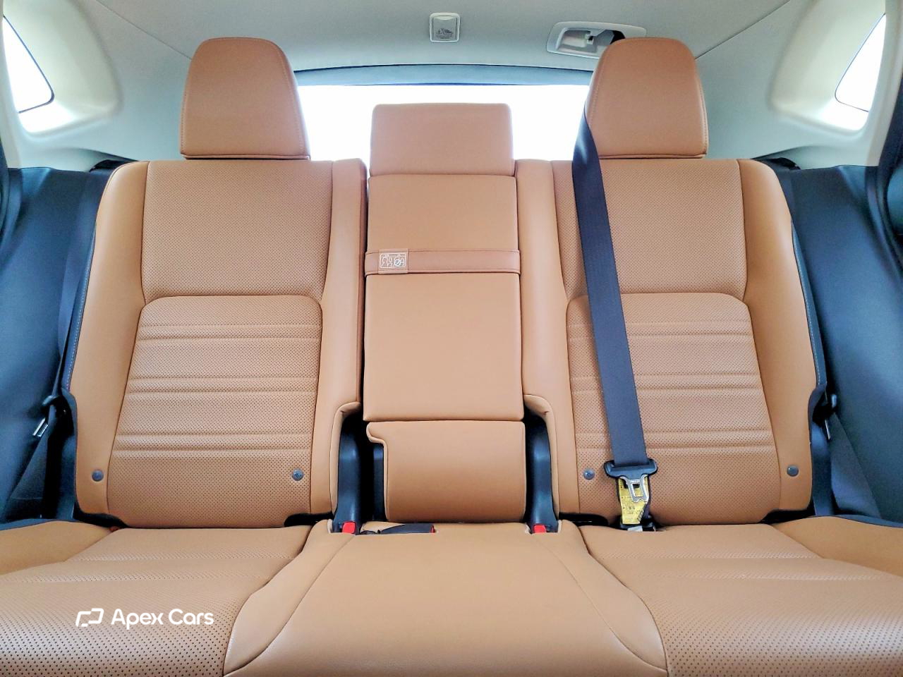 Lexus NX 2020