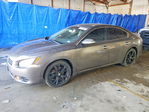 Nissan Maxima 2013
