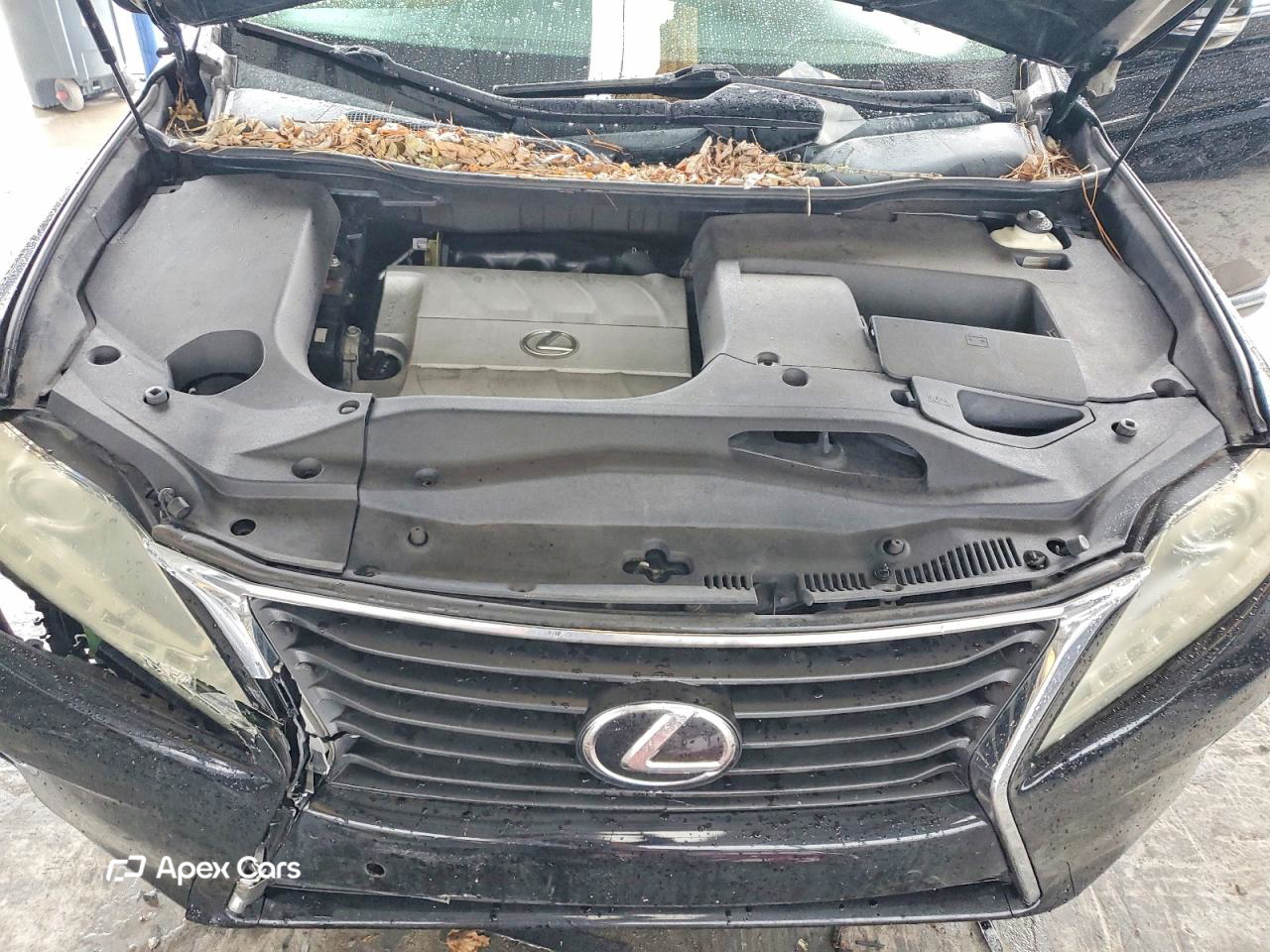 Lexus RX 2013