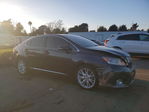 Lexus HS 2010