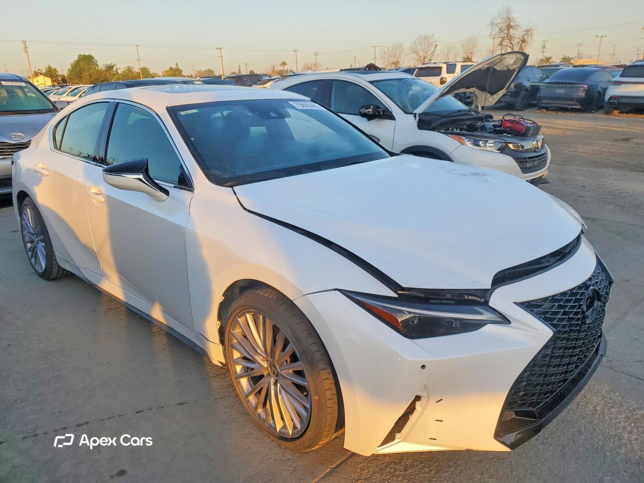 Lexus IS 2023