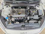 Kia Forte 2024