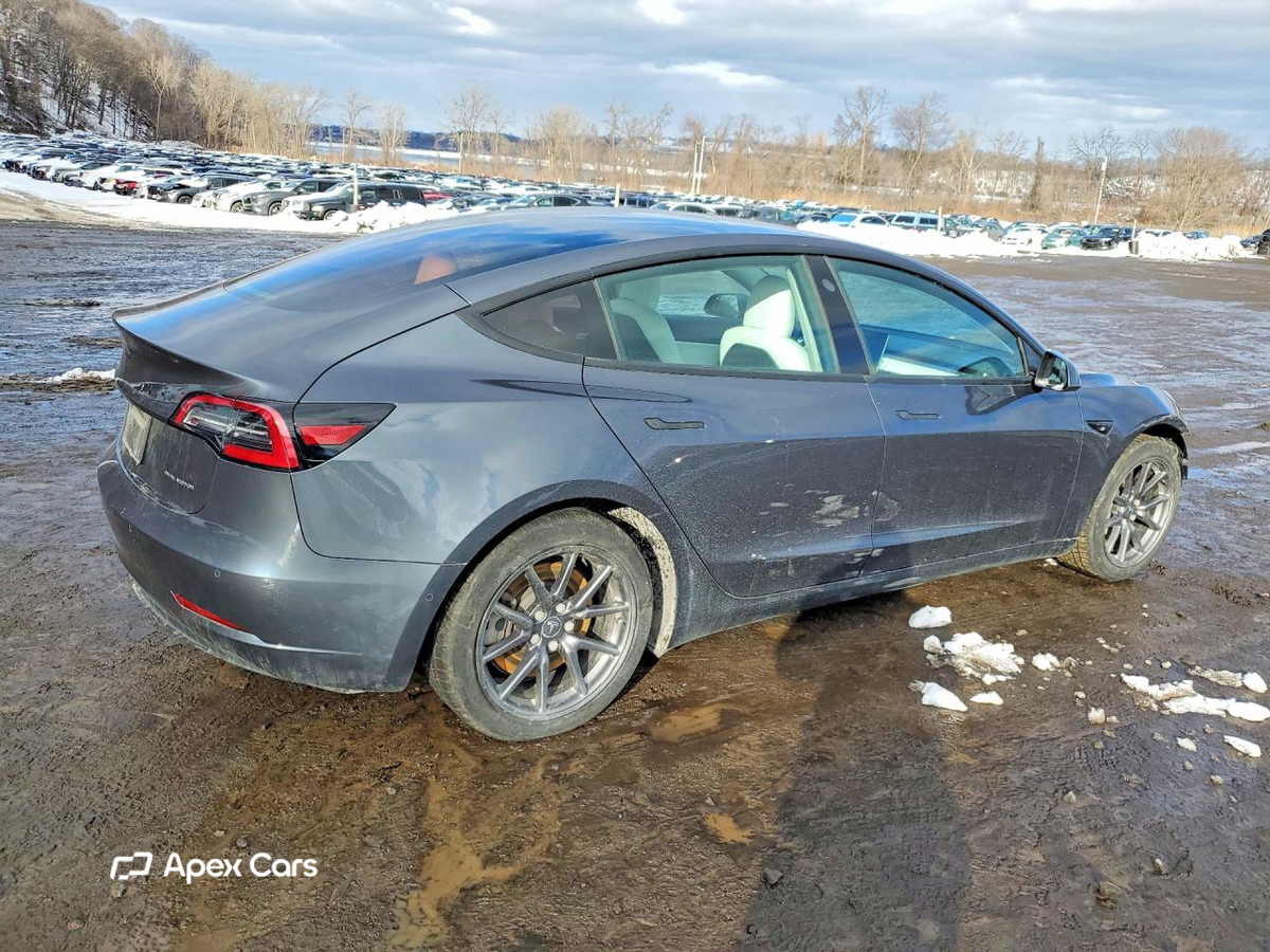 Tesla Model 3 2020