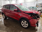 Ford Escape 2014