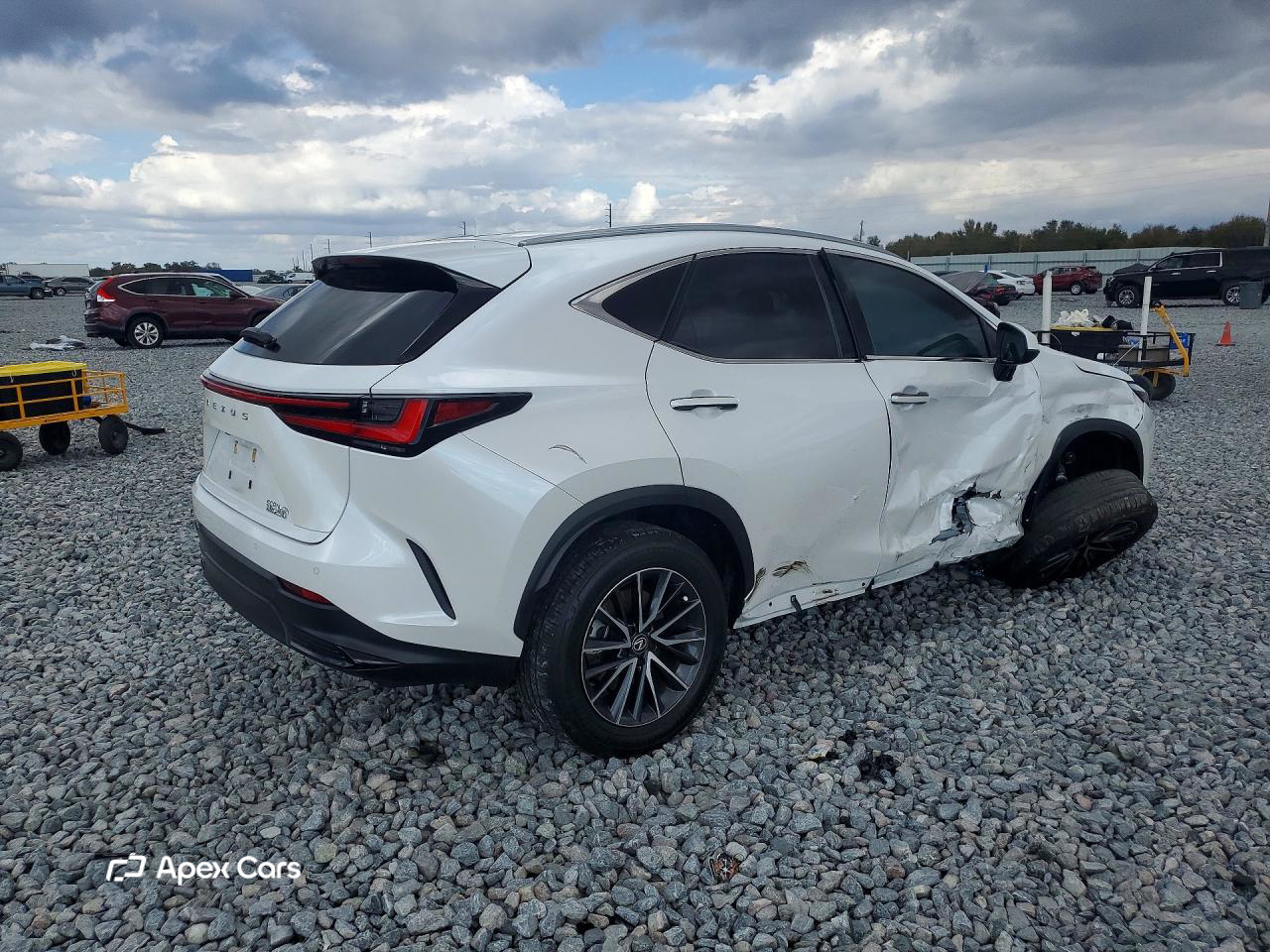 Lexus NX 2024
