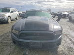 Ford Mustang 2013