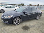Honda Accord 2013