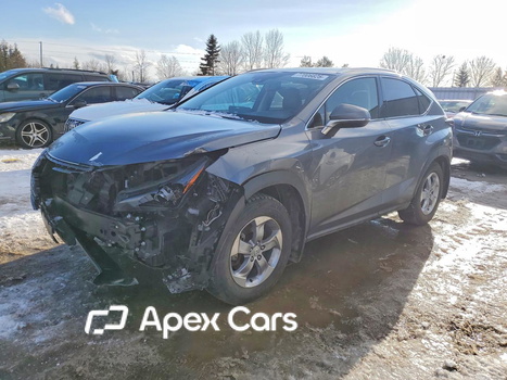 Lexus NX 2021 - Image 1 of 12