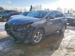 Lexus NX 2021