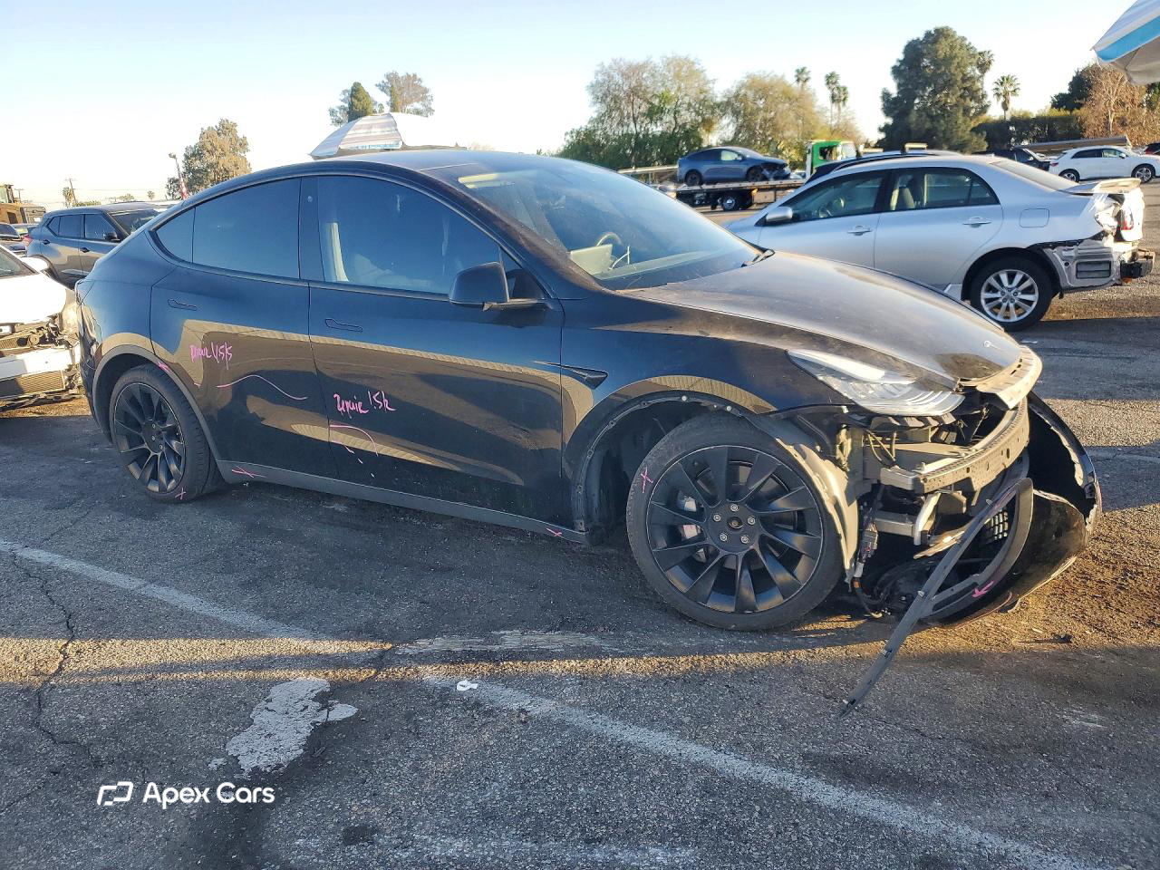 Tesla Model Y 2020