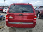 Ford Escape 2008