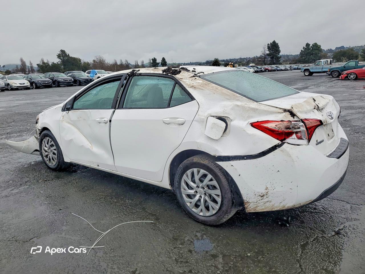 Toyota Corolla 2019