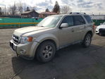 Ford Escape 2012