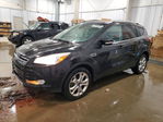 Ford Escape 2014
