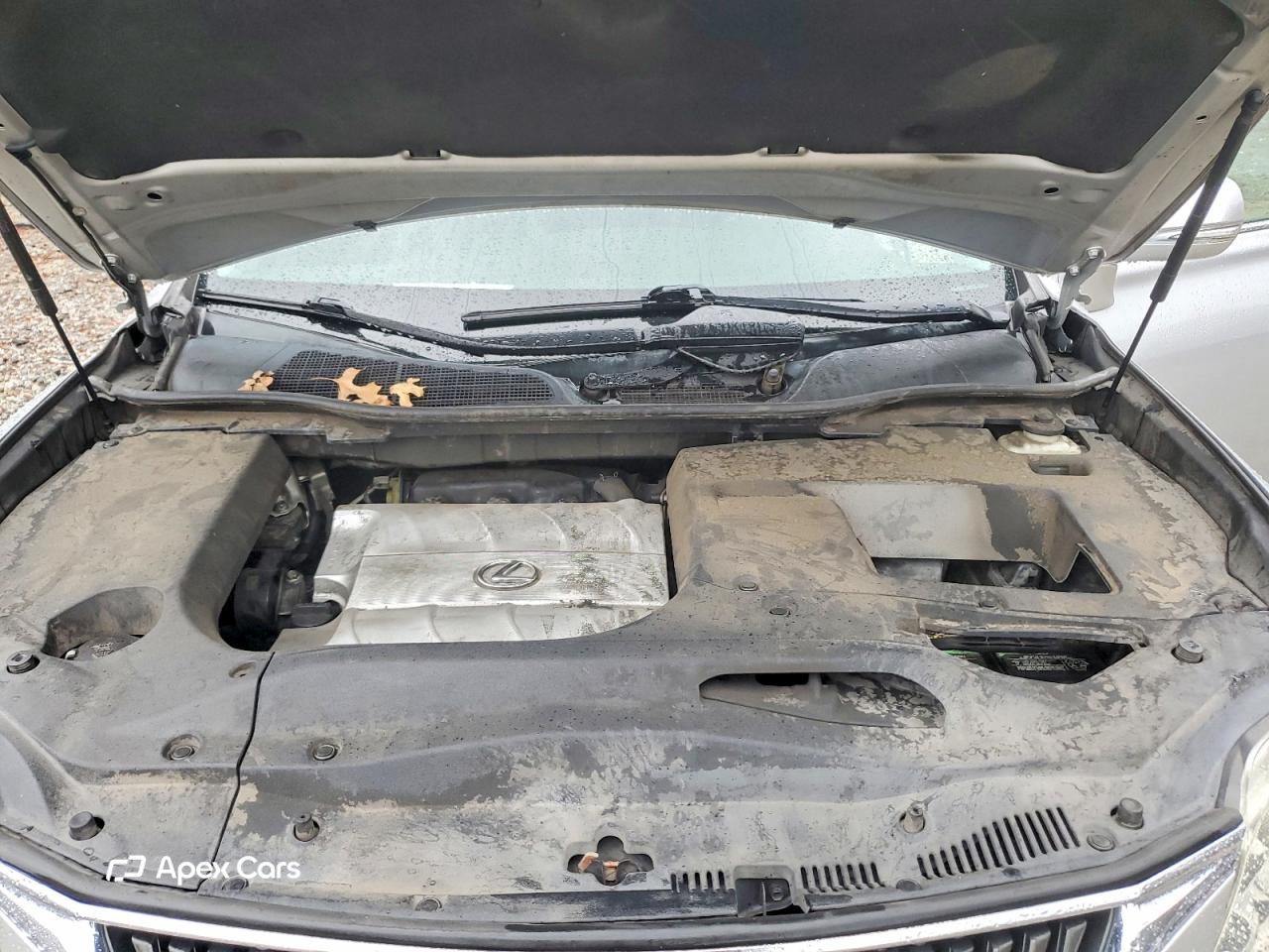 Lexus RX 2010