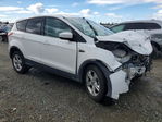 Ford Escape 2013