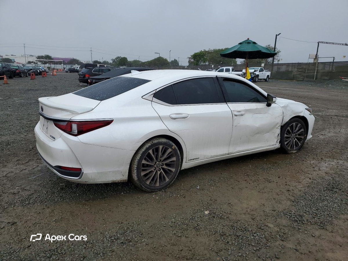 Lexus ES 2020