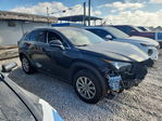 Lexus NX 2021