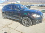Audi Q5 2015