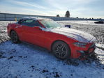 Ford Mustang 2021