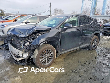 Lexus NX 2024 - Zdjęcie 1 z 12